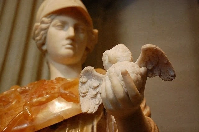 Η Γλαύκα της Θεάς Αθηνάς: Τι συμβολίζει και πού διασώζεται έως σήμερα (Εικόνες)